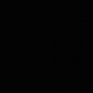 Meet your Posher, Marie